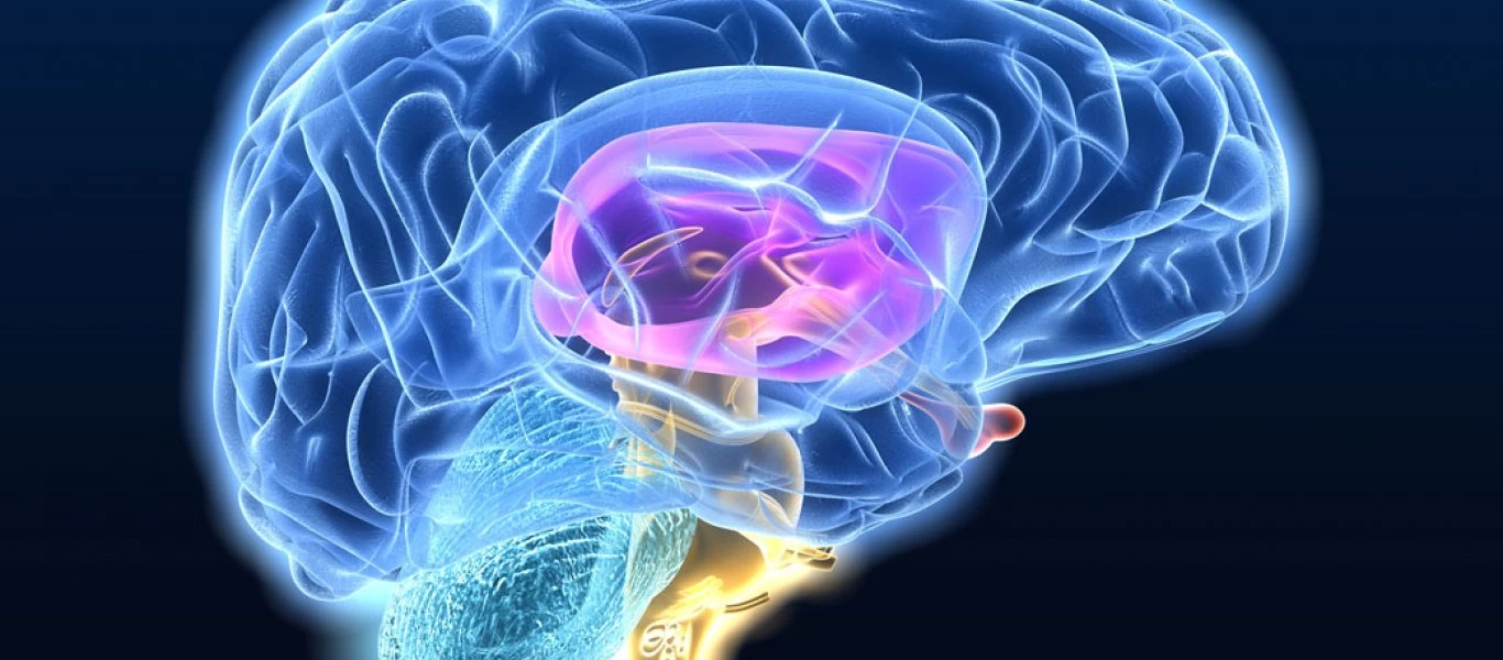 Νέες εξελίξεις για το εγκεφαλικό επεισόδιο - Η παχυσαρκία είναι «σωτήρια» μετά την εκδήλωση του